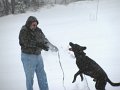 IMG_0081