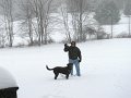 IMG_0084