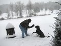 IMG_0087