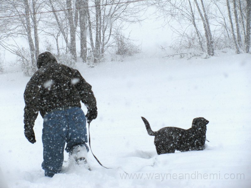 IMG_0142.JPG