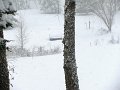 IMG_0124