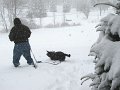 IMG_0127