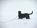 IMG_0128