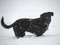 IMG_0137