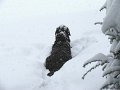IMG_0140