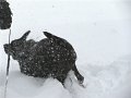 IMG_0141