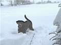IMG_0143