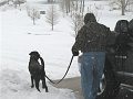 IMG_0151
