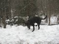 IMG_0154