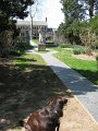 IMG_0005c