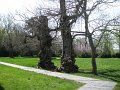 IMG_0007