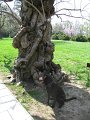IMG_0010