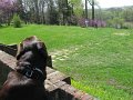 IMG_0013