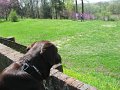 IMG_0014