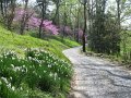 IMG_0022