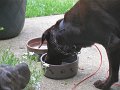 IMG_0031
