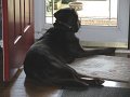 IMG_0037