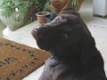IMG_0004