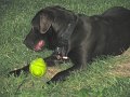 IMG_0025