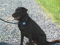 IMG_0003