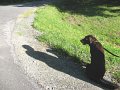 IMG_0016