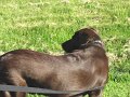 IMG_0019