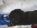 IMG_0013
