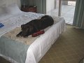 IMG_0014