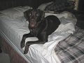 IMG_0005