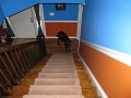 IMG_0006