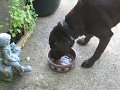 IMG_0013