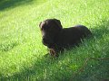 IMG_0023