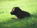 IMG_0024