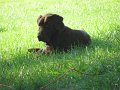 IMG_0025