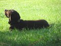 IMG_0026