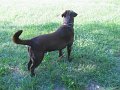 IMG_0029