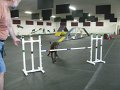 IMG_0035