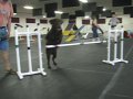 IMG_0037
