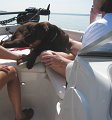 IMG_0008