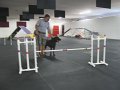 IMG_0005