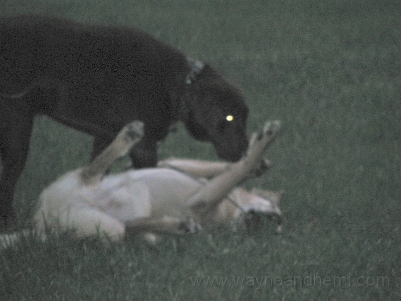IMG_0086.JPG