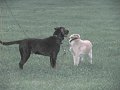 IMG_0084