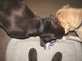 IMG_0093