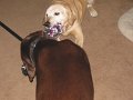 IMG_0095