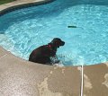 IMG_0006