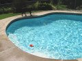 IMG_0007