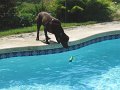 IMG_0008