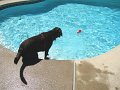 IMG_0014
