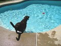 IMG_0015
