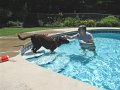 IMG_0027